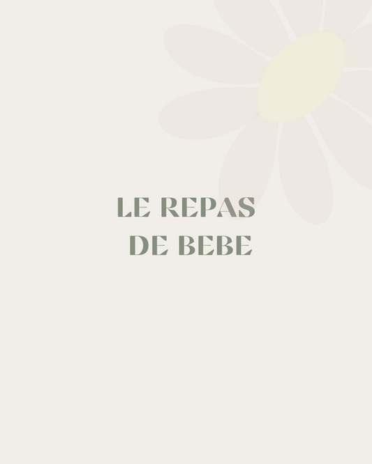 Ebook - Le repas de bébé